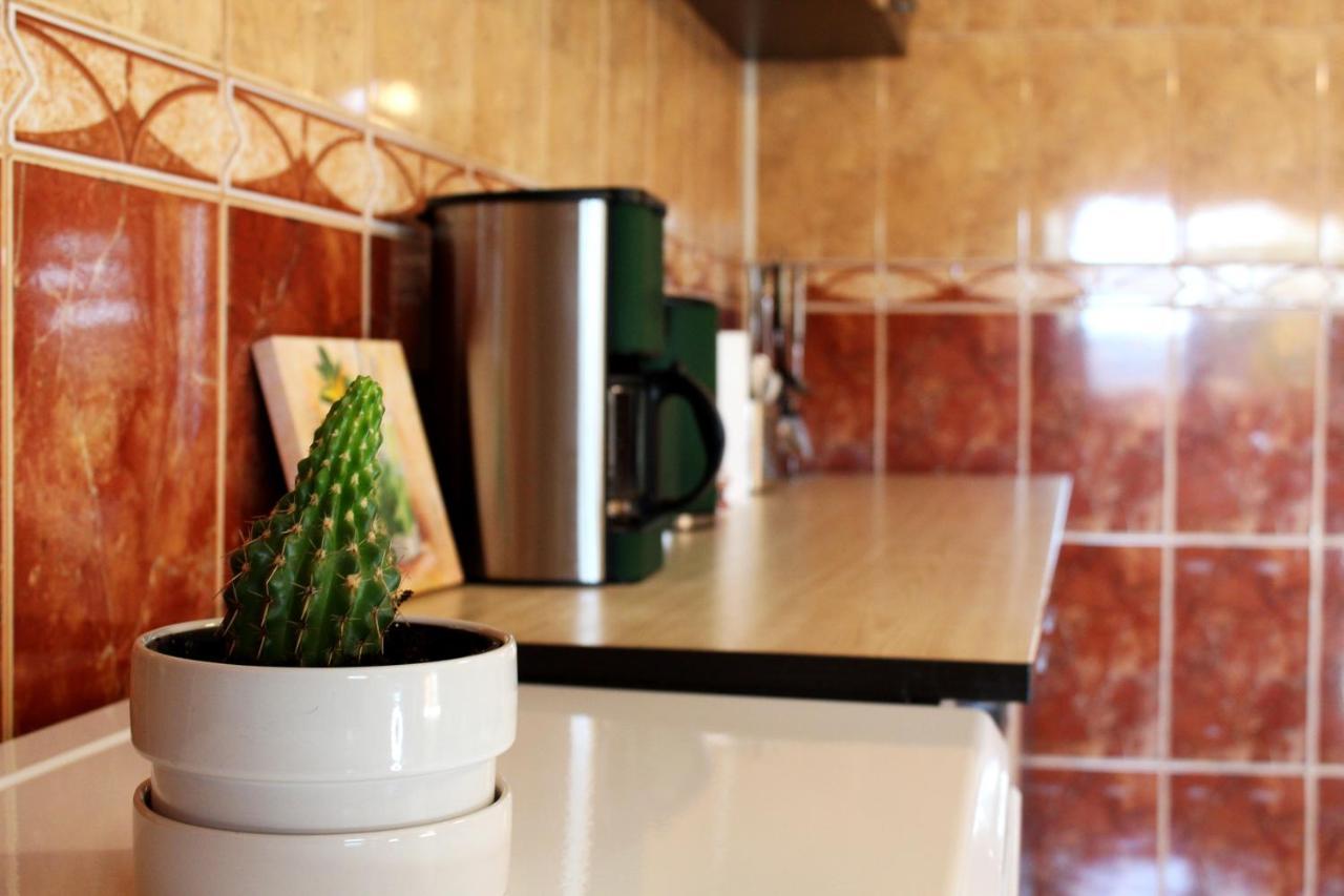 Collosal Apartment With Garden 布加勒斯特 外观 照片