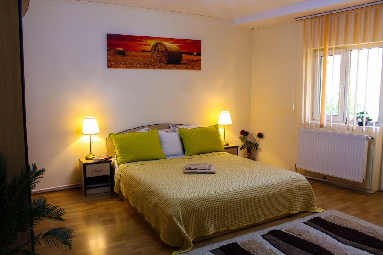 Collosal Apartment With Garden 布加勒斯特 外观 照片